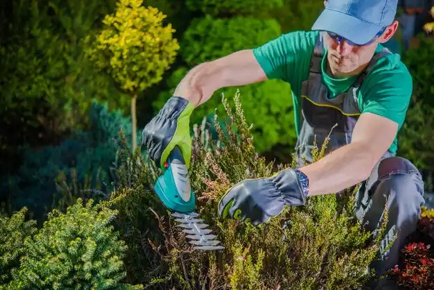 landscaping services Lake Buckhorn